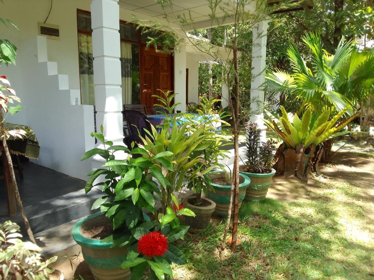 Freedom Home Stay Sigiriya Eksteriør billede